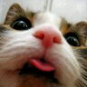 Profilbild von mo mo