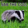Badgerlena's profile picture