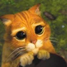 troy murrell's profile picture
