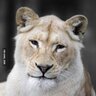Tanea Martinez profil fotoğrafı