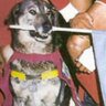 Marcia Escalada's profile picture