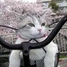 野良猫機動隊 profil fotoğrafı