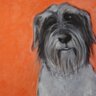 Jane Ward's profile picture