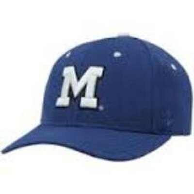 MemorialTigerBB's profile picture