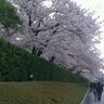 新ハウス欠陥 的头像
