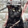 Frases_Contundentes 的头像