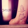 ابو ابراهيم 的头像