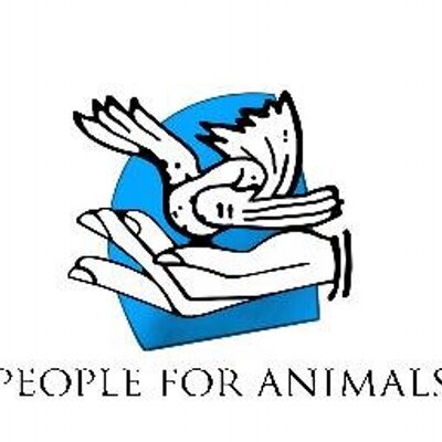 pfaindia's profile picture