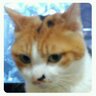 なでパパ's profile picture
