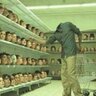 hichamsamy profil fotoğrafı