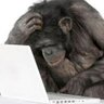 Álvaro S.'s profile picture