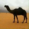 Frequence's profile picture