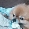 優紀's profile picture