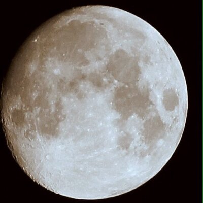 tomo's profile picture
