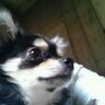 ふーちゃん's profile picture