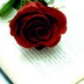 أبو حنين🇴🇲's profile picture