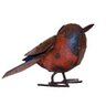 Profilbild von rouge-gorge