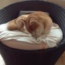 JY profil fotoğrafı