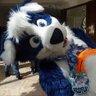 Derpybluehusky's profile picture
