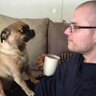 Carsten Kurpanek's profile picture