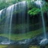 Фото профиля طيبه_الطيوبه