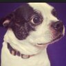 Jeff Eason's profile picture