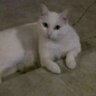 Aidee93 profil fotoğrafı