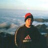 lmandrade's profile picture
