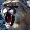 paul malotky's profile picture