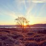 Фото профиля Mar
