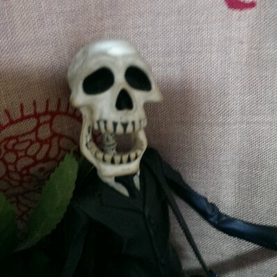 1004Jet's profile picture