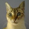 Profilbild von Cristina Cantuche