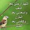 محمد الحربي profil fotoğrafı