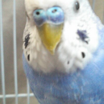 みさ's profile picture