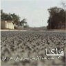 Фото профиля ماجدة الفيلكاوي