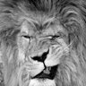 Profilbild von Phil Roehrs
