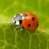 Фото профиля yester58