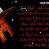 Фото профиля اللهم اغفر لي والوالدي....