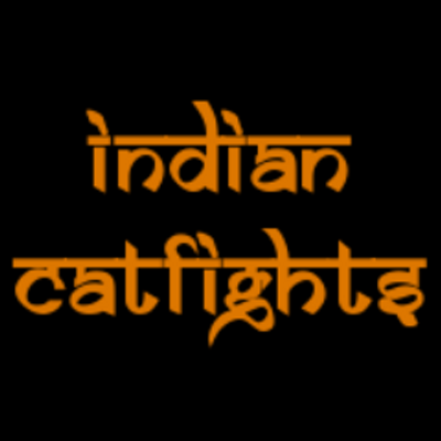 indiancatfights's profile picture
