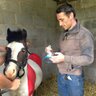 Profilbild von Davy Russell