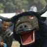 Profilbild von TheDancingYak