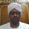 ابوعبيدة ميرغني 的头像