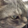 Lexy's profile picture