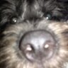 AdK profil fotoğrafı