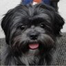penwhen's profile picture