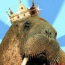 Christopher Walrus's profile picture