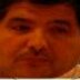Profilbild von Ahmed khojah