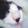 Profilbild von 牧