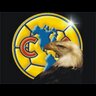 UJC's profile picture