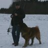 OldGuyJan_Official 的头像